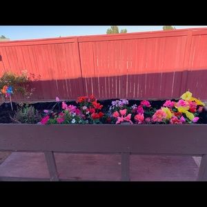 Meet your Posher, Alicia